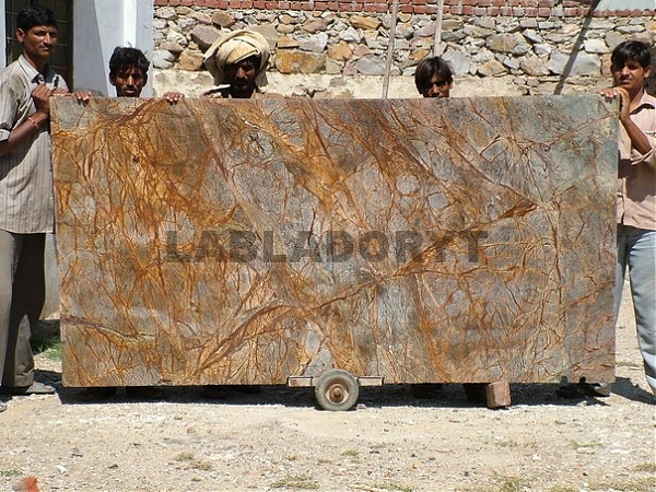Forest Brown